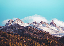 开云体育下载：开启全新运动娱乐体验